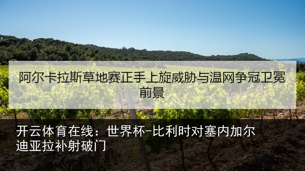 开云体育在线:世界杯-比利时对塞内加尔迪亚拉补射破门
